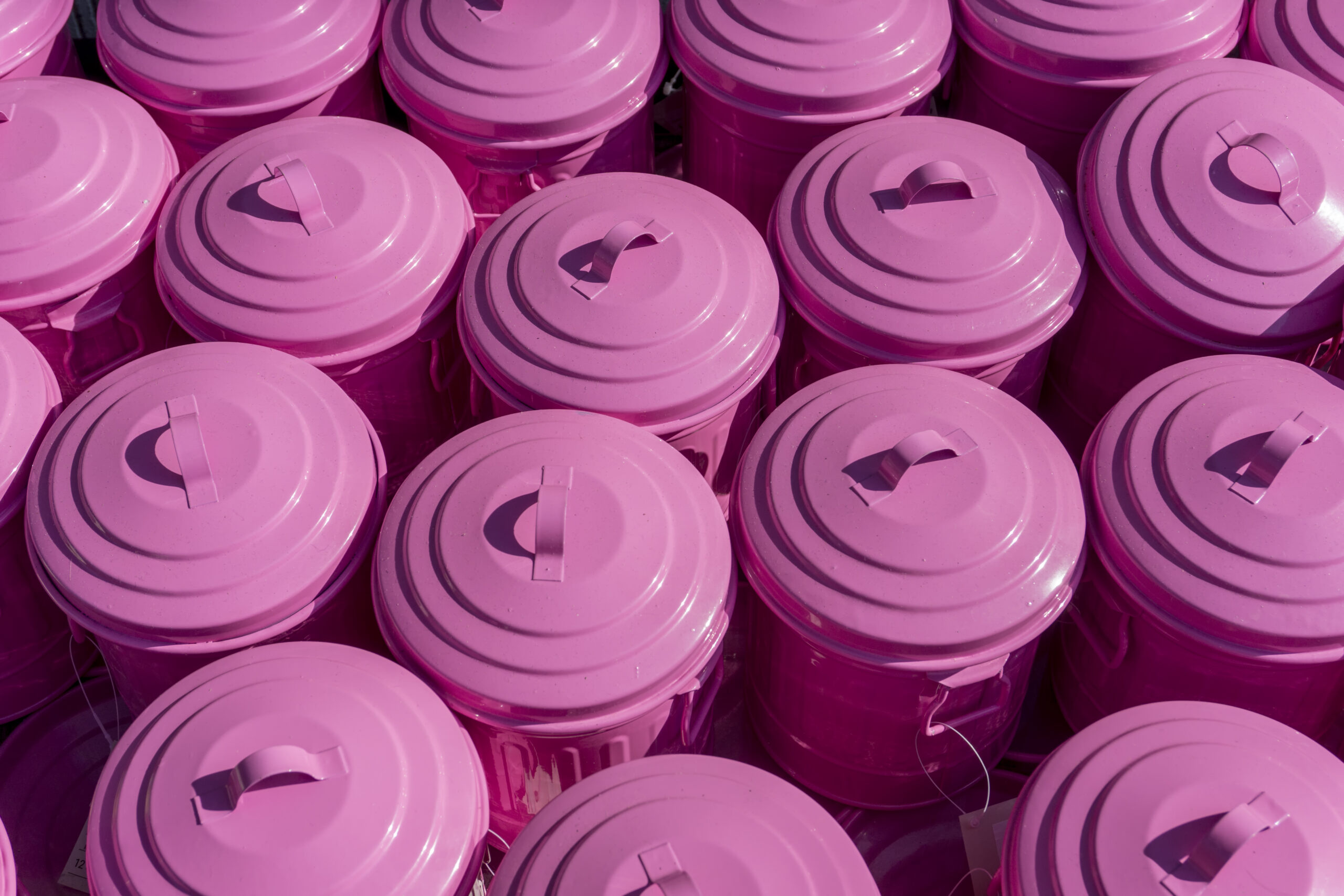 Lovat Newsletter – September 2025 photo 1