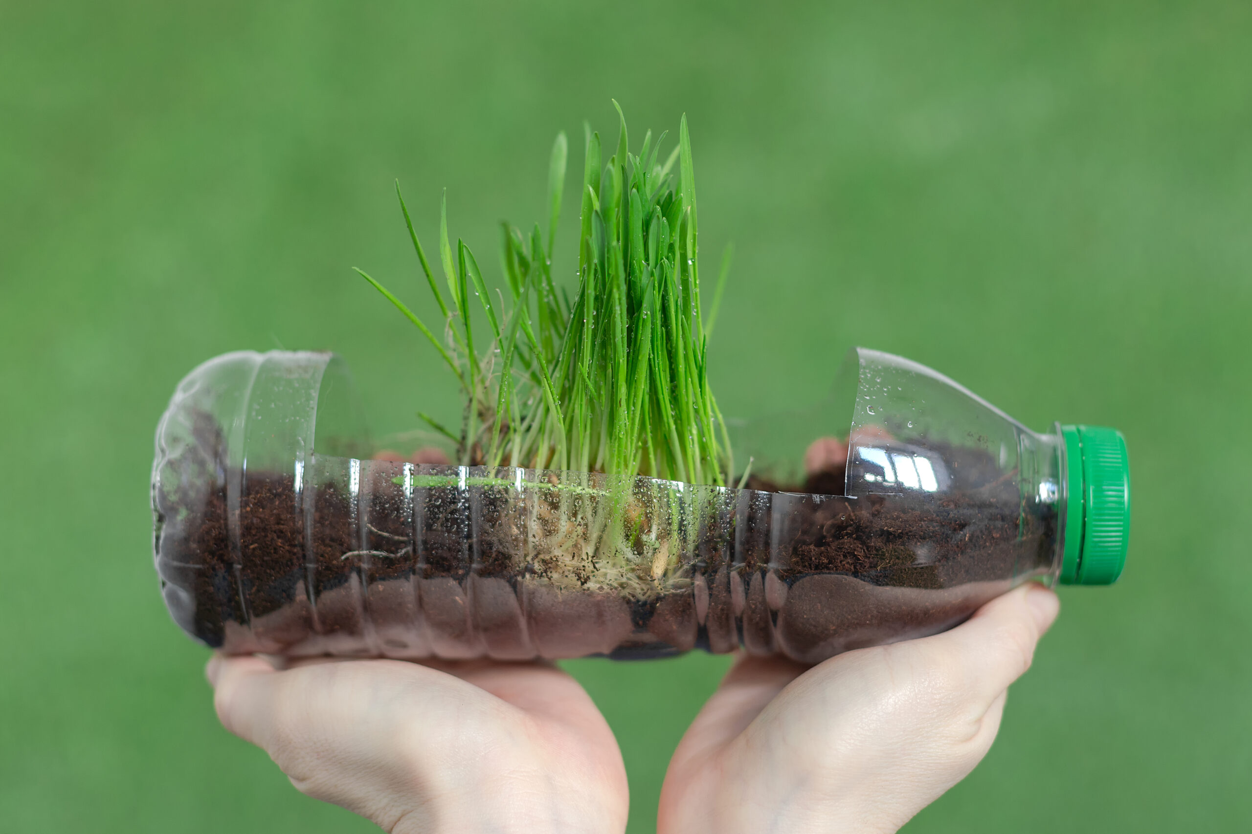 Registration with the European DAC 7 from Lovat photo 1