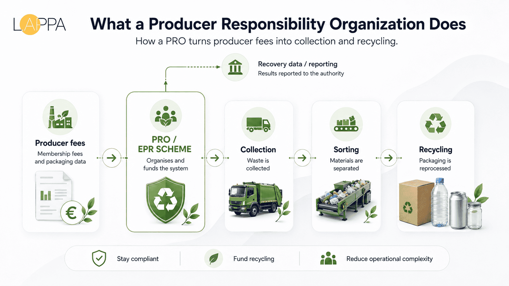 PRO vs Authorised Representative vs EPR Registration What Is the Difference photo 3