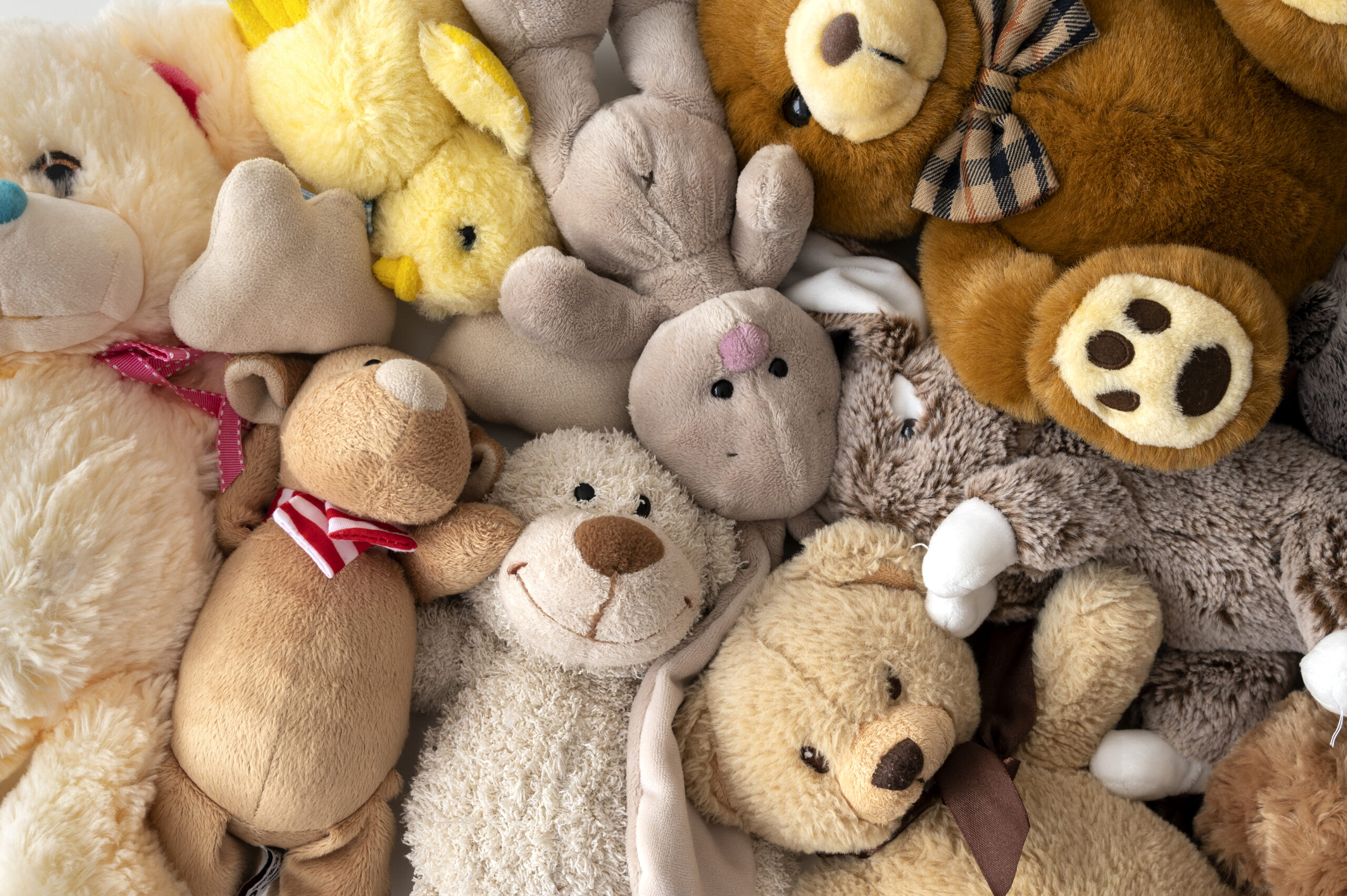 How Lovat software supports Toys & Sports Industry photo 1 