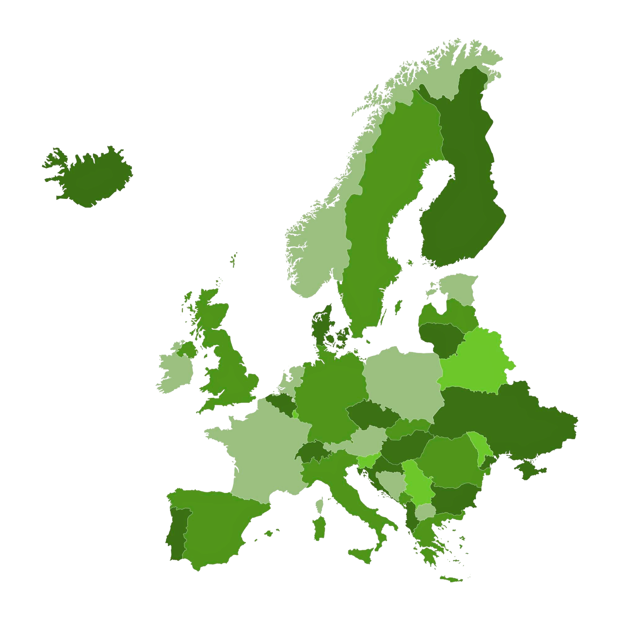 Responsible Person for GPSR Services photo 2